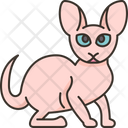 پیش‌نمایش فایل donskoy-cat-6459948 از پک گربه
