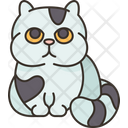 پیش‌نمایش فایل feline-cat-6459949 از پک گربه