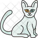 پیش‌نمایش فایل khao-manee-cat-6459951 از پک گربه