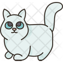 پیش‌نمایش فایل munchkin-kitten-6459954 از پک گربه