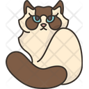 پیش‌نمایش فایل ragdoll-kitten-6459956 از پک گربه