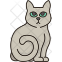 پیش‌نمایش فایل russian-cat-6459957 از پک گربه