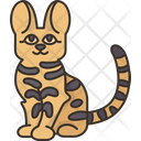 پیش‌نمایش فایل savannah-cat-6459958 از پک گربه