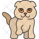 پیش‌نمایش فایل scottish-fold-kitty-6459959 از پک گربه