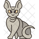پیش‌نمایش فایل sphynx-cat-6459961 از پک گربه