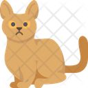 پیش‌نمایش فایل abyssinian-cat-6459964 از پک گربه