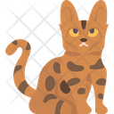 پیش‌نمایش فایل bengal-cat-6459970 از پک گربه