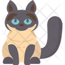 پیش‌نمایش فایل birman-cat-6459971 از پک گربه