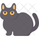 پیش‌نمایش فایل bombay-cat-6459972 از پک گربه