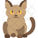 پیش‌نمایش فایل burmese-cat-6459975 از پک گربه