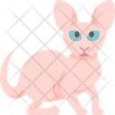 پیش‌نمایش فایل donskoy-cat-6459978 از پک گربه