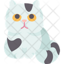 پیش‌نمایش فایل feline-cat-6459979 از پک گربه