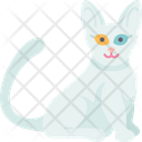 پیش‌نمایش فایل khao-manee-cat-6459981 از پک گربه
