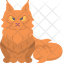 پیش‌نمایش فایل maine-coon-6459983 از پک گربه