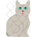 پیش‌نمایش فایل russian-cat-6459987 از پک گربه
