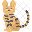 پیش‌نمایش فایل savannah-cat-6459988 از پک گربه