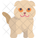 پیش‌نمایش فایل scottish-fold-kitty-6459989 از پک گربه