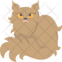 پیش‌نمایش فایل selkirk-rex-cat-6459990 از پک گربه