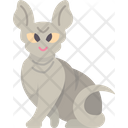 پیش‌نمایش فایل sphynx-cat-6459991 از پک گربه