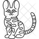 پیش‌نمایش فایل savannah-cat-6460018 از پک گربه