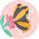 پیش‌نمایش فایل butterflies-6736717 از پک فعالیت‌های بهاری