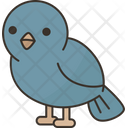 پیش‌نمایش فایل bird-7133817 از پک 2 V حیوان - نسخه 2