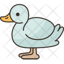 پیش‌نمایش فایل duck-7133827 از پک 2 V حیوان - نسخه 2