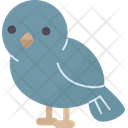 پیش‌نمایش فایل bird-7133847 از پک 2 V حیوان - نسخه 2