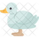 پیش‌نمایش فایل duck-7133857 از پک 2 V حیوان - نسخه 2