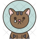پیش‌نمایش فایل cat-7826393 از پک رفاه حیوانات