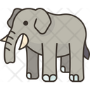 پیش‌نمایش فایل elephant-7826394 از پک رفاه حیوانات