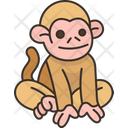 پیش‌نمایش فایل monkey-7826398 از پک رفاه حیوانات