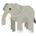 پیش‌نمایش فایل elephant-7826425 از پک رفاه حیوانات