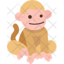پیش‌نمایش فایل monkey-7826429 از پک رفاه حیوانات