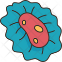 پیش‌نمایش فایل bacteria-8023245 از پک مسمومیت غذا