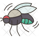 پیش‌نمایش فایل flies-8023222 از پک مسمومیت غذا