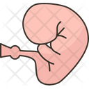 پیش‌نمایش فایل embryo-8624741 از پک بارداری
