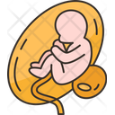 پیش‌نمایش فایل fetus-8624742 از پک بارداری