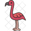 پیش‌نمایش فایل flamingos-8831874 از پک باغ وحش
