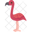 پیش‌نمایش فایل flamingos-8831909 از پک باغ وحش