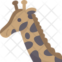 پیش‌نمایش فایل giraffe-8831881 از پک باغ وحش