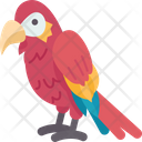 پیش‌نمایش فایل parrot-8831884 از پک باغ وحش