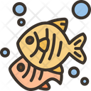 پیش‌نمایش فایل fish-8832272 از پک هاوایی