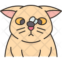 پیش‌نمایش فایل cat-8997376 از پک احساسات گربه