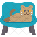 پیش‌نمایش فایل cat-8997443 از پک احساسات گربه