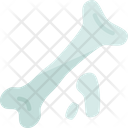 پیش‌نمایش فایل bones-9038940 از پک موزه