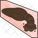 پیش‌نمایش فایل leech-9104957 از پک کوهنوردی