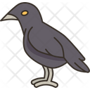 پیش‌نمایش فایل crow-9680536 از پک نمادهای مرگ