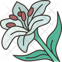 پیش‌نمایش فایل lilies-9680543 از پک نمادهای مرگ