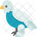 پیش‌نمایش فایل bird-9951405 از پک بیمارستان حیوانات